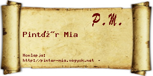 Pintér Mia névjegykártya